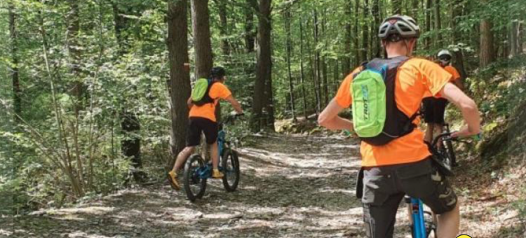 Offroad E-step door de heide Kalmthout nabij Antwerpen België