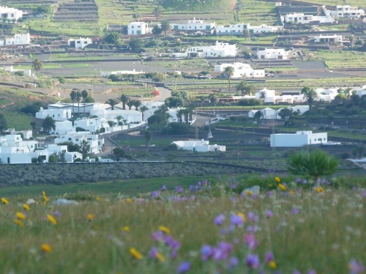 4,5 uur hiken White Villages Lanzarote