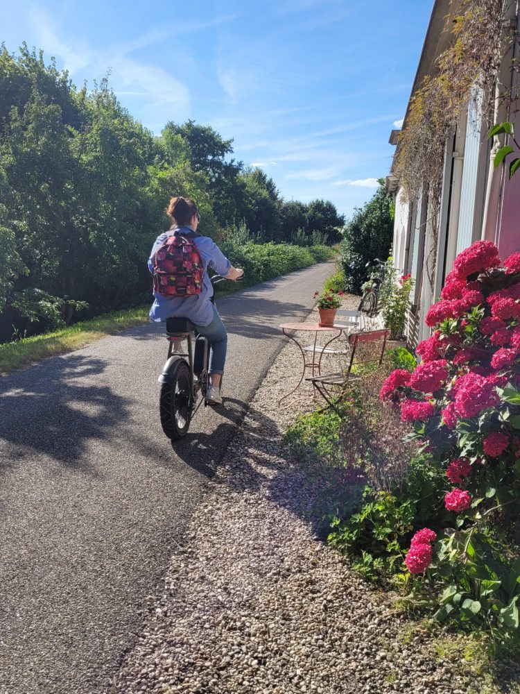 Fatbike