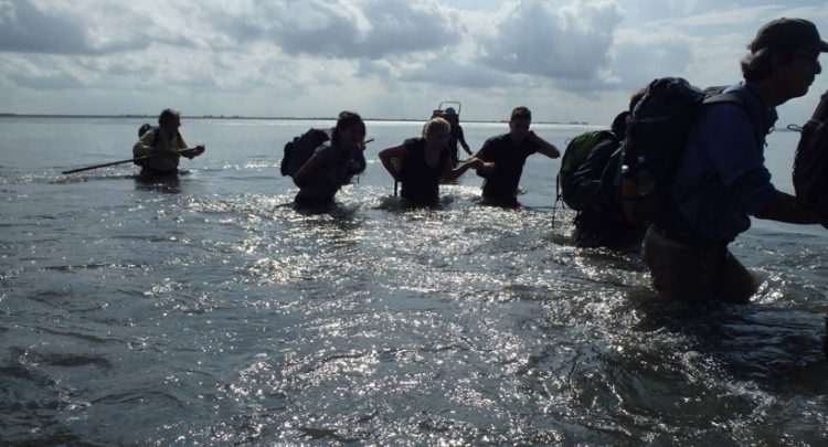Wadlopen in het werelderfgoed gebied van Nederland - vanuit Noord Friesland of Groningen