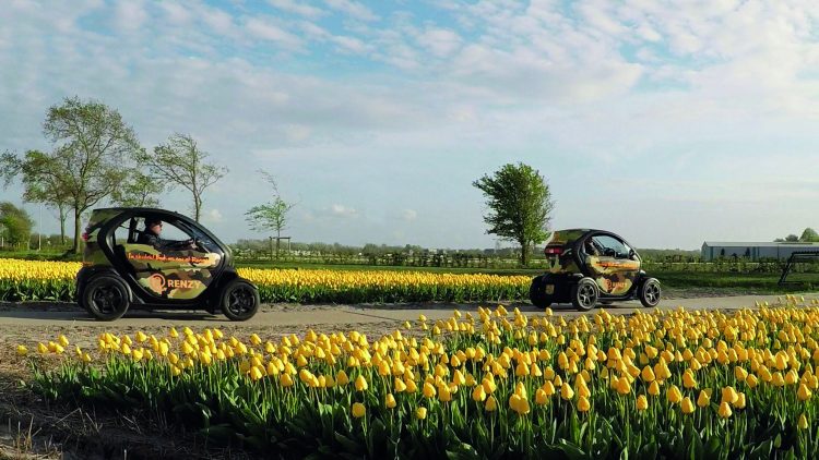 Duin en zomerbloemen Renault Twizy tour door Zuid-Holland vanuit Lisse