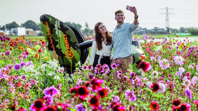 Duin en zomerbloemen Renault Twizy tour door Zuid-Holland vanuit Lisse